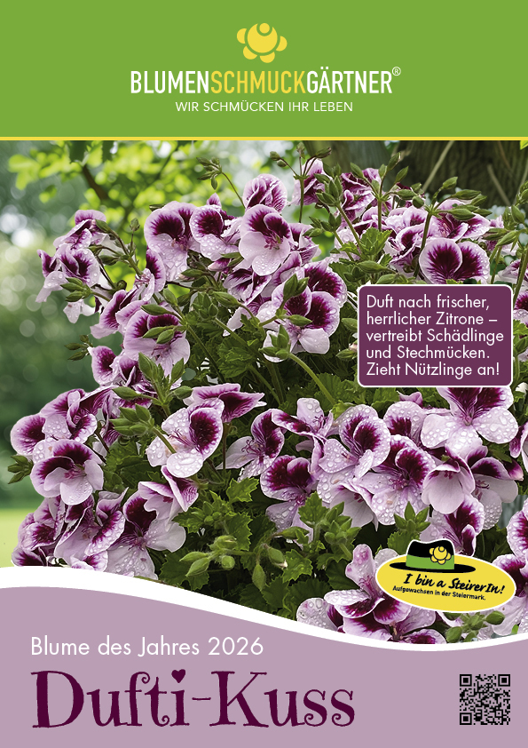 PLAKAT BdJ 26